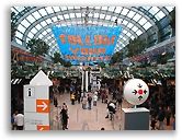 Foto vergr&ouml;&szlig;ern ...