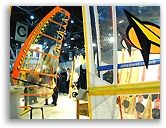 Foto vergr&ouml;&szlig;ern ...