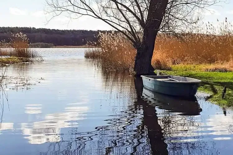 Falkensee