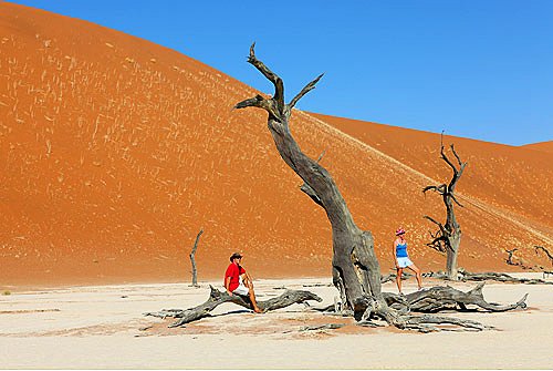 Roevers im Sossusvlei