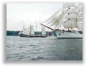 Foto vergr&ouml;&szlig;ern ...