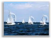 Foto vergr&ouml;&szlig;ern ...