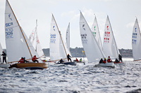 Folkeboot DM Laboe 2010