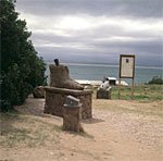 Postamtsbaum in Mosselbay-Gartenroute