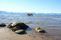 Gr&ouml;nland - Diskobucht, Thule, Illulissat