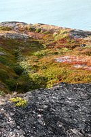 Gr&ouml;nland - Diskobucht, Thule, Illulissat