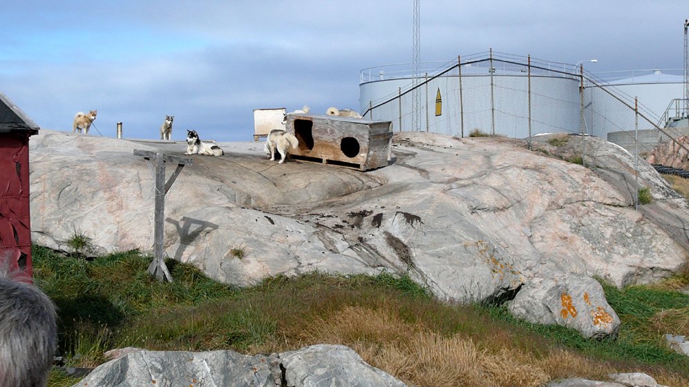 Gr&ouml;nland - Diskobucht, Thule, Illulissat