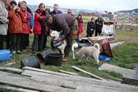 Gr&ouml;nland - Diskobucht, Thule, Illulissat