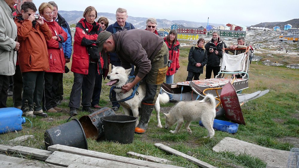 Gr&ouml;nland - Diskobucht, Thule, Illulissat