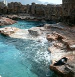 Oceanpark - neuer Freizeitpark