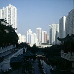 Tigerbalm Garden