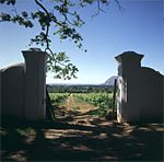 Wein mit viel Sonne