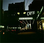 NYC am Times Square