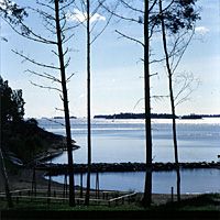 N&auml;vekvarn Bucht