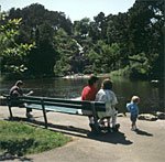 Golden Gate Park - Oase der Ruhe