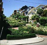 Blumenhecken an Lombardstreet