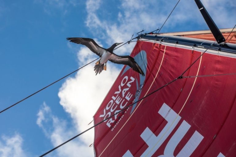 2018 01 06 volvo ocean race 1