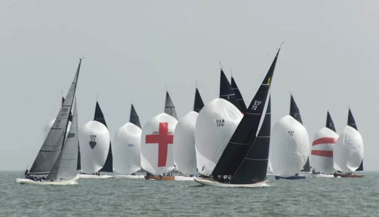 376355774 1449589872505039 6973671577441034928 n