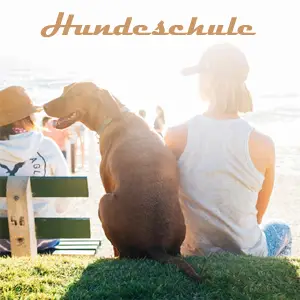 Hundeschule online