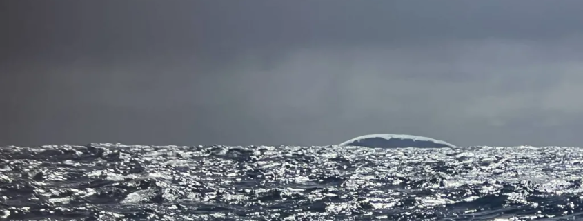 vg2024 2501012256 imo foussier foussier 2025 01 haute definition.jpg